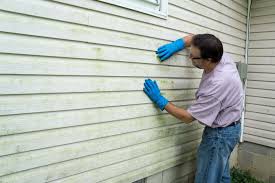 Affordable Siding Repair and Maintenance Services in Avon, CO